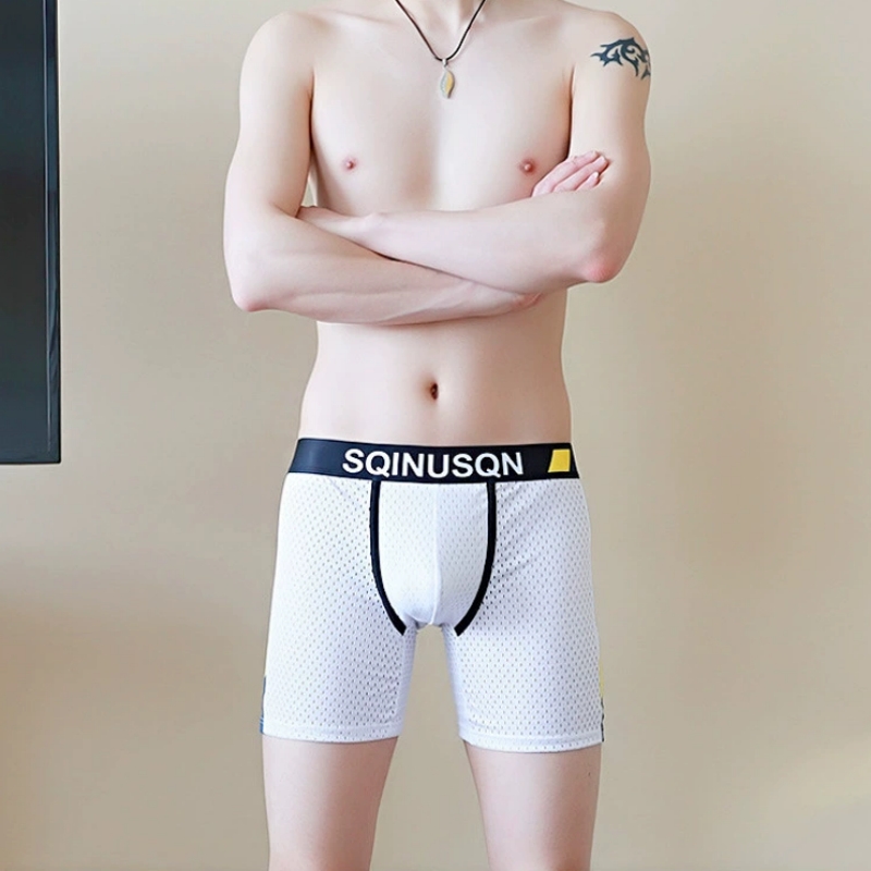 Herren-Boxershorts aus Eisseid – Long Leg Trunk Men Bewertung und Preis